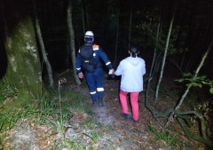 Спасатели вывели из леса в горах Сочи заблудившуюся туристку из Москвы