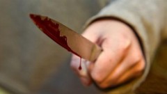 В Новой Москве 16-летняя девочка пырнула в грудь ножом экс-возлюбленного