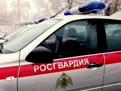 На Ставрополье росгвардейцы задержали двух воришек, подавшихся в бега