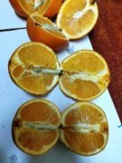 В Новочеркасске осужденному пытались передать апельсины, начиненные наркотиками
