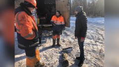 Кости мамонта нашли работники водоканала в Кемерове, меняя трубы