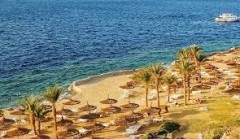 МИД РФ: Чартерные рейсы на курорты Египта возобновят в ближайшее время