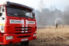 В 25 субъектах РФ установлен особый противопожарный режим