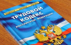 Омбудсмен: в 2020 году в России выросло количество нарушений Трудового кодекса