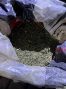 Более 4 кг марихуаны изъяли полицейские у жителя Ростова-на-Дону