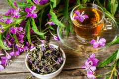 В России выпущен первый органический иван-чай