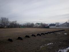Ставропольский подрядчик пытался сорвать строительство спортивной площадки в Невинномысске