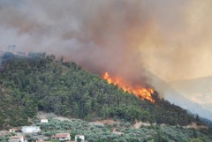 Бушующие в Греции лесные пожары подобрались к Афинам