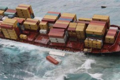 В порт Новороссийск из Турции прибыл контейнер с контрабандой оружия