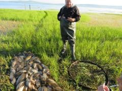 Семь фактов браконьерства выявили сотрудники полиции и Росрыболовства в КЧР