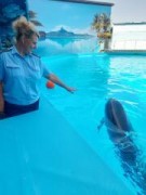 ФССП: Дельфины теперь получают качественную рыбу в Ейске
