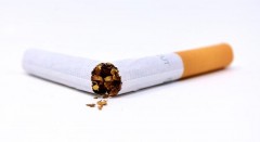 Доля нелегальных сигарет на Кубани выросла до 15,2% во II квартале 2021 года