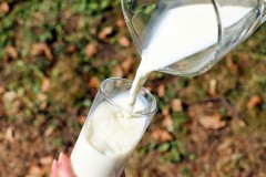 Цены на лабораторные исследования молока для владельцев ЛПХ снизили в два раза