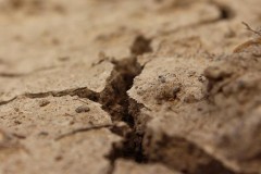 Маскировал глиной и землей: в Батайске пресечено покушение на сбыт наркотиков