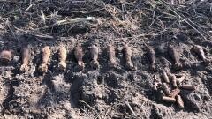 Врывотехники краснодарского ОМОН уничтожили 28 боеприпасов периода войны