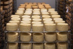 Объем производства молока на Кубани превысил 1,1 млн тонн