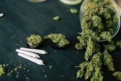 В Грозном у мужчины изъяли более 100 граммов марихуаны