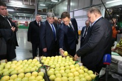 Александр Новак посмотрел, как выращивают яблоки в Кабардино-Балкарии