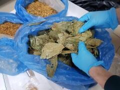 В Геленджик пришли две международные посылки с 7,6 кг наркотиков