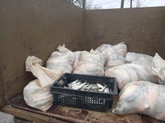 Донские пограничники задержали троих браконьеров с уловом на 400 тысяч рублей