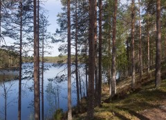 Финляндия намерена выстроить ограду на границе с Россией за 140 млн евро