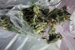 В колонию Хадыженска пытались передать марихуану