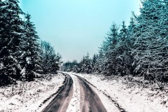 Авто.ру выяснил, хорошо ли жители Краснодарского края знают правила безопасного вождения зимой