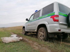Сочинские пограничники задержали и выдворили из РФ четверых нарушителей-нелегалов