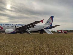 Самолет, летевший из Сочи в Омск, экстренно сел на поле под Новосибирском
