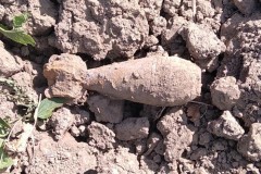 Взрывотехники Росгвардии на Кубани уничтожили обнаруженную в кукурузном поле мину времен ВОВ