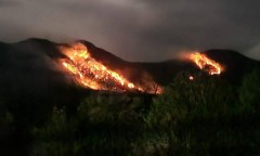В горах Апшеронского района Кубани горят 2 га леса