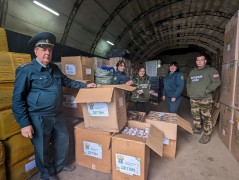 Астраханские таможенники передали конфискованные новогодние игрушки в социальные детские учреждения Волгограда и ОНФ