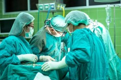 Пациент с пересаженной генно-модифицированной почкой свиньи выписан из больницы
