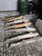 Браконьеры с рыбой на 11 млн рублей задержаны донскими пограничниками