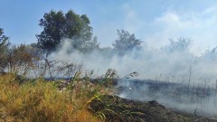 Из-за жары в Невинномысске случился ландшафтный пожар