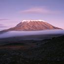 Снега Килиманджаро растают к 2022 году