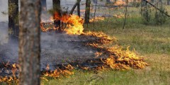 На Черноморском побережье сохранится чрезвычайная пожароопасность
