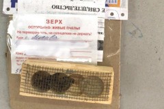 Почта России доставила москвичу &laquo;живые&raquo; посылки с пчёлами