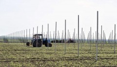 В сельхозпредприятиях Кубани началась осенняя закладка садов